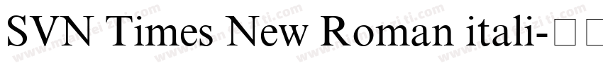 SVN Times New Roman itali字体转换